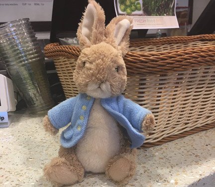 Missing stuffed bunny rabbit