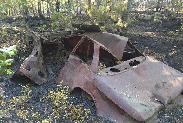 Old car found in West Roxbury woods