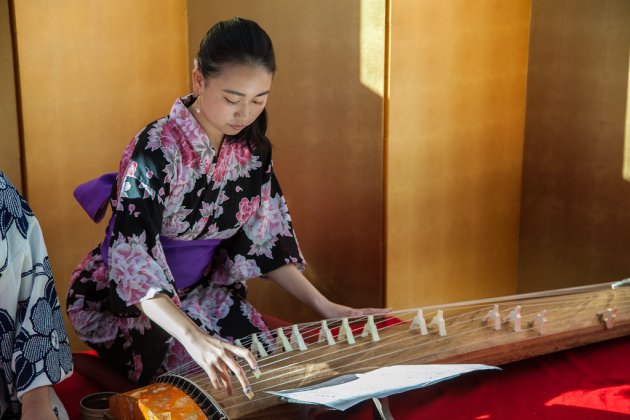 Woman playing Japanese stringed instrument