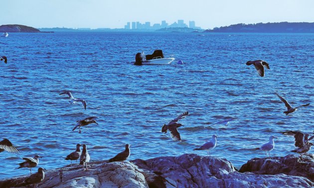 Boston as seen from the shore in Marblehead