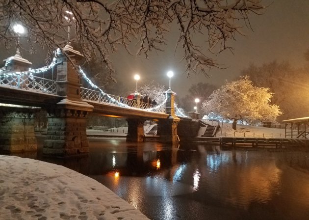 Public Garden bridge in the snow