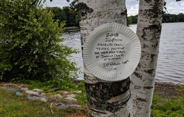 Warning about West Nile Virus on a paper plate at Jamaica Pond