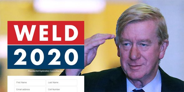 Bill Weld, from his Web site