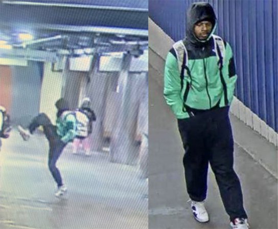 Guy arrested for kicking man onto subway tracks at State Street