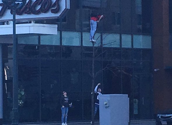 Guy climbing a really tiny tree along the waterfront