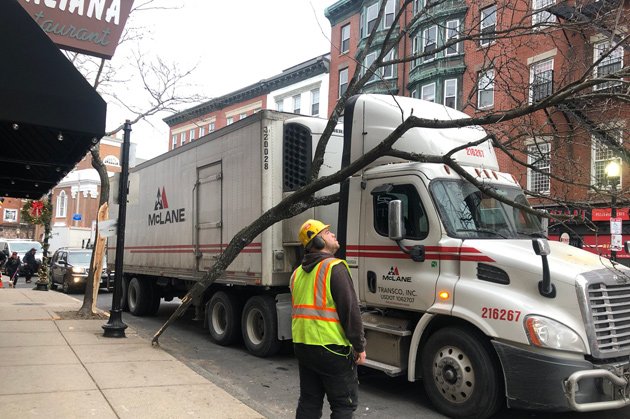 Truck takes out tree in the North End