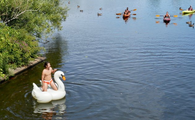 Man in a swan tube in the Charles River