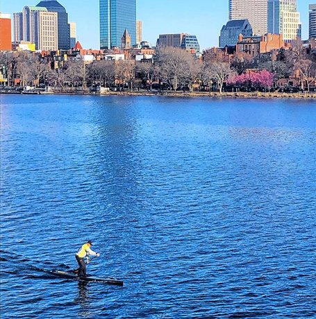 Man on a paddleboard in the Charles River