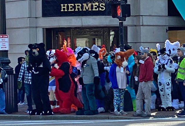 Furries outside Hermes on Boylston Street