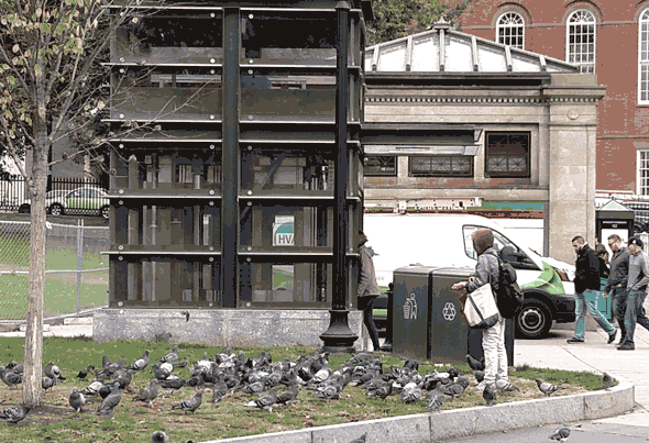 Woman feeding pigeons at Park Street