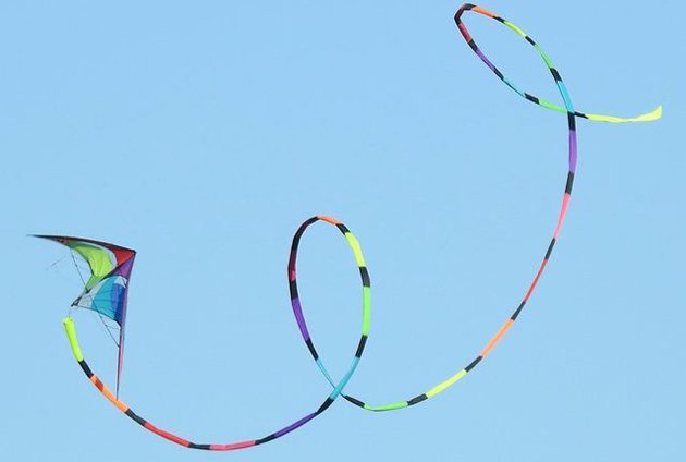 Kite above Millennium Park in West Roxbury