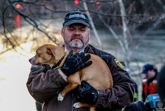 Boston EMT with rescued dog