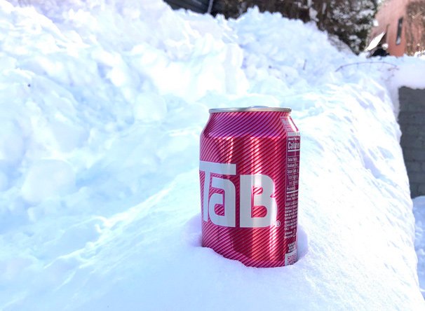 Tab in the snow