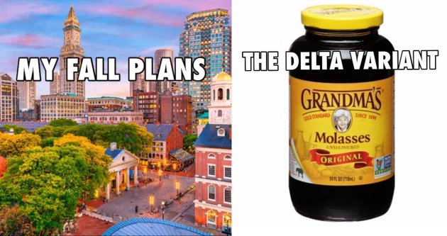 Fall plans, Boston with molasses
