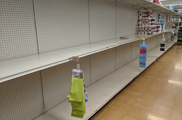 Empty paper-towel and toilet-paper shelves at Dedham Stop and Shop