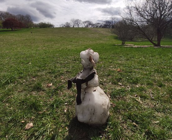 Melting snowman at Arnold Arboretum