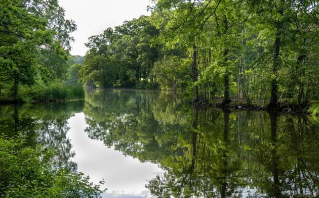 Scarboro Pond in Franklin Park