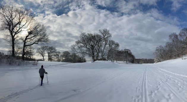 Skier at George Wright Golf Course