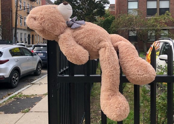 Teddy bear impaled on a fence
