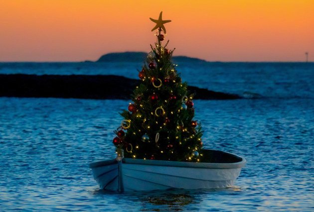 Dinghy tree off Marblehead