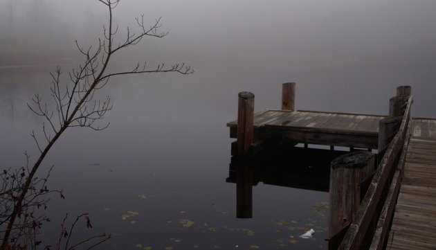 Turtle Pond in the fog