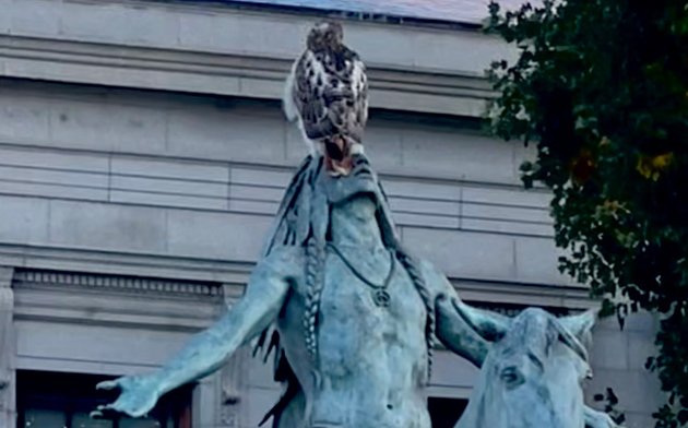 Hawk atop the statue in front of the Museum of Fine Arts