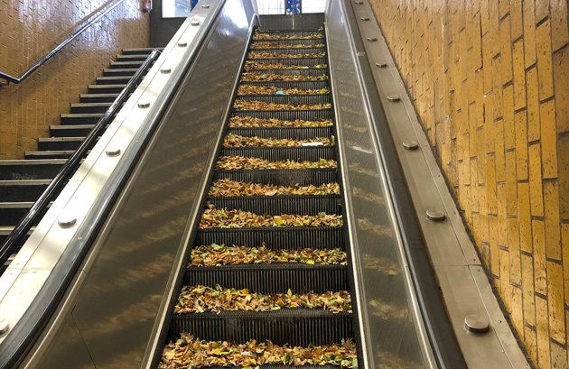 Escalator covered in leaves at Bowdoin station