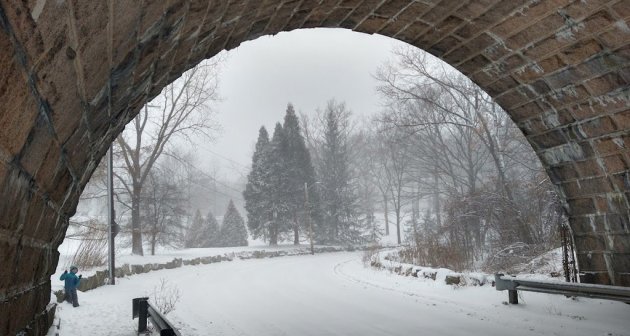 Looking through the tunnel towards the Arnold Arboretum