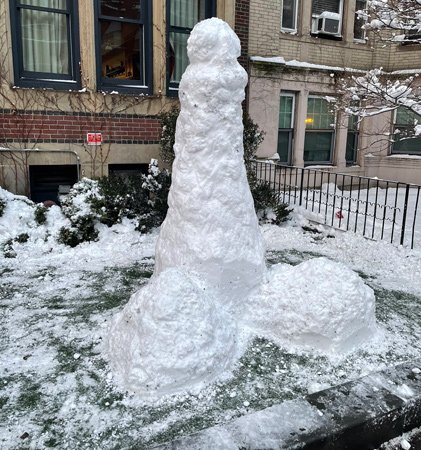 Snow penis