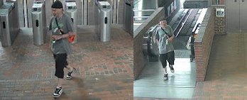 Surveillance photos of man wanted for swastika painting