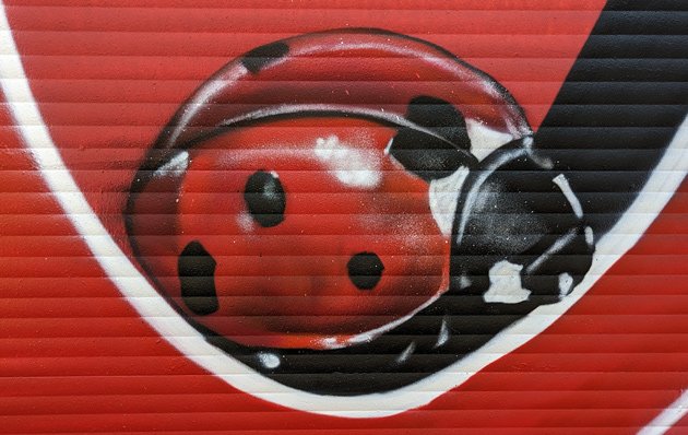 Ladybug in new mural on Blakemore Bridge