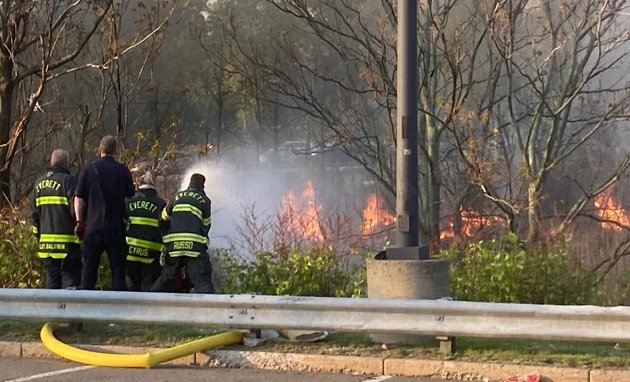 Everett brush fire