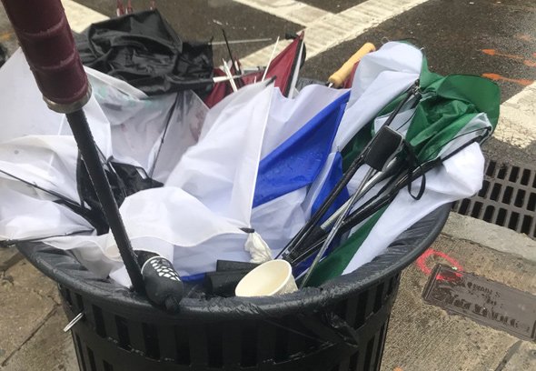 Umbrellas in the trash in Copley Square