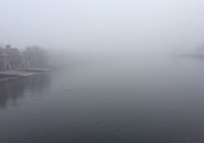 Charles River in the fog