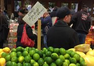 Limes at Russo's