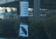 Corvus oculum corvi non eruit