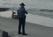 Deer and Massachusetts state trooper at Nantasket Beach, Hull