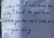 Flier on South Huntington: Guy misses dog and woman who owns him