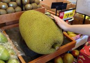 Jackfruit in a Roslindale supermarket