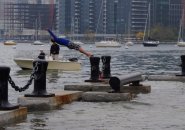 Guy diving into Boston Harbor during king tide