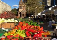 Peppers in Copley Square