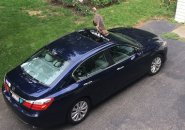 Turkey on a city councilor's car in Roslindale