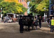 Dartmouth Street with horses and dirt