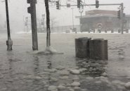 Seaport Boulevard flooded in South Boston