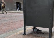 Pigeon sheltering from the snow in Downtown Crossing