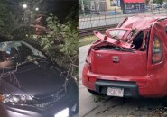 Cars destroyed by tree in Allston