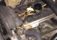 Chicken wings under the hood of a car