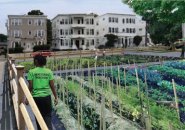Rendering of proposed Flint Street farm