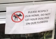 A sign that asks dog owners to keep their pets from pissing in somebody's Beacon Hill yard