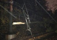Downed tree in Chestnut Hill on the Green Line tracks